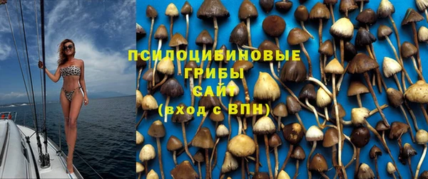 хмурый Баксан