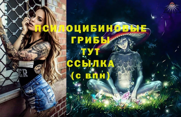 первитин Балахна