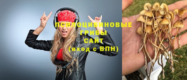 мяу мяу мука Балабаново